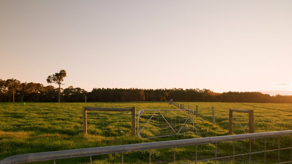 Courtenay via Margaret River Augusta Garland International