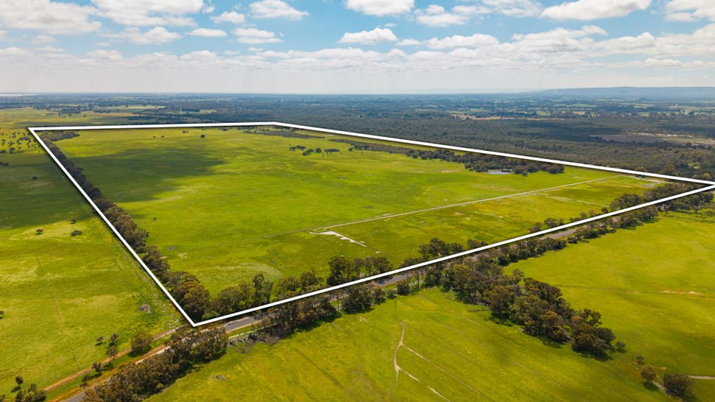 Birchmont Garland International