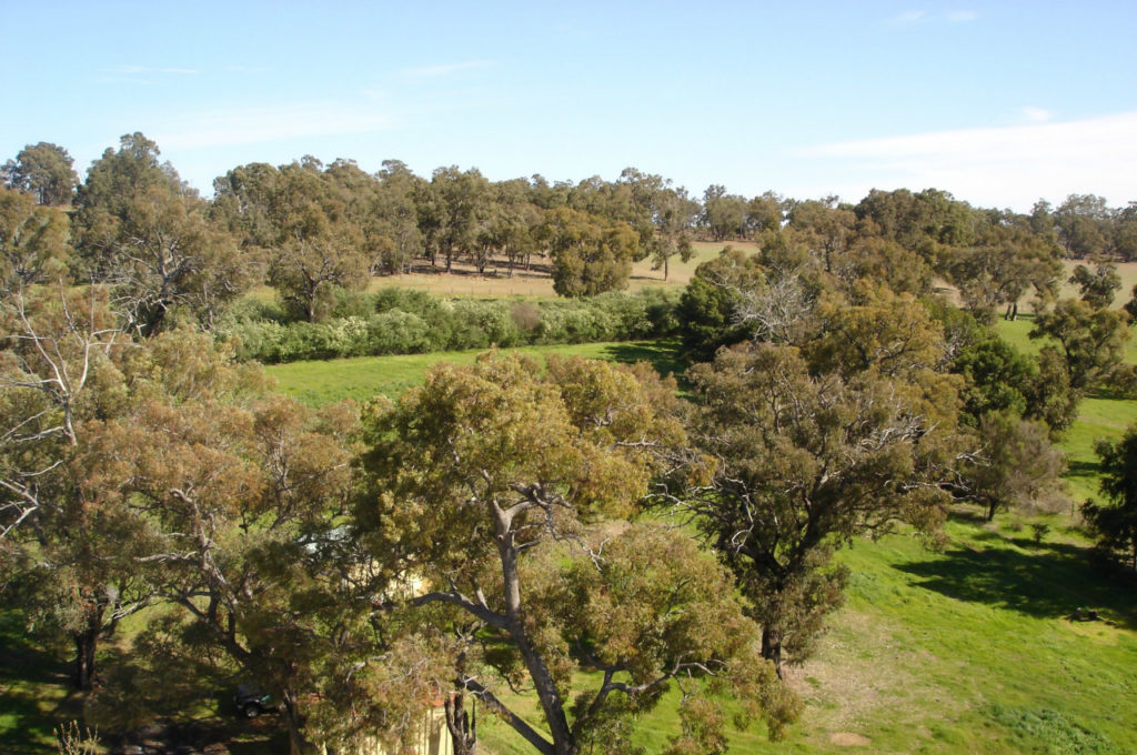 Bakers Hill Property Outlook