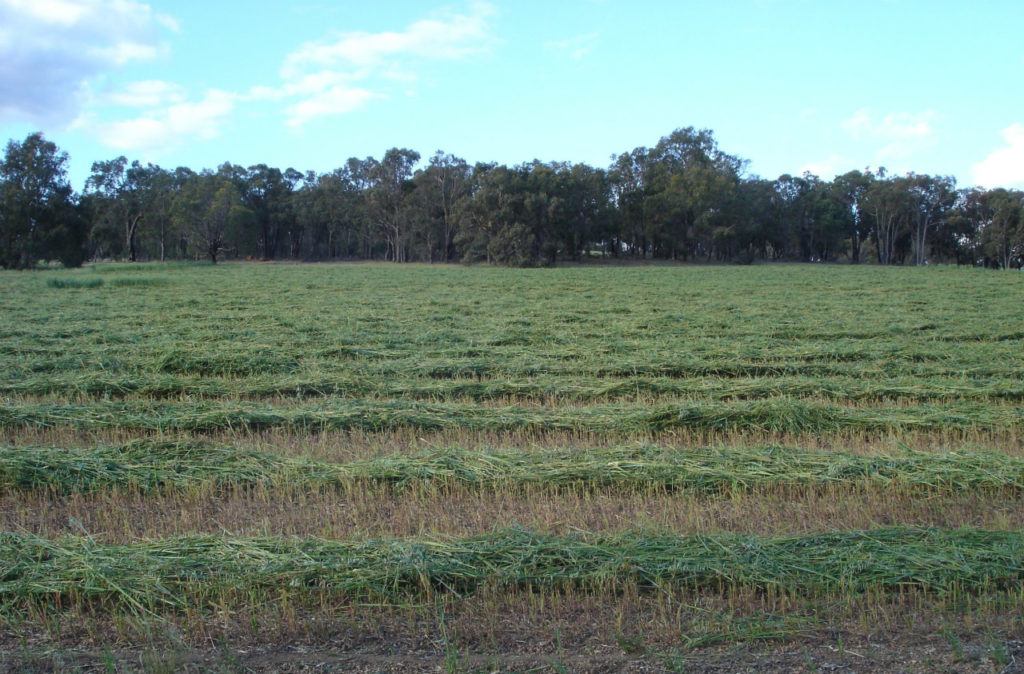 Bakers Hill Property Pastures