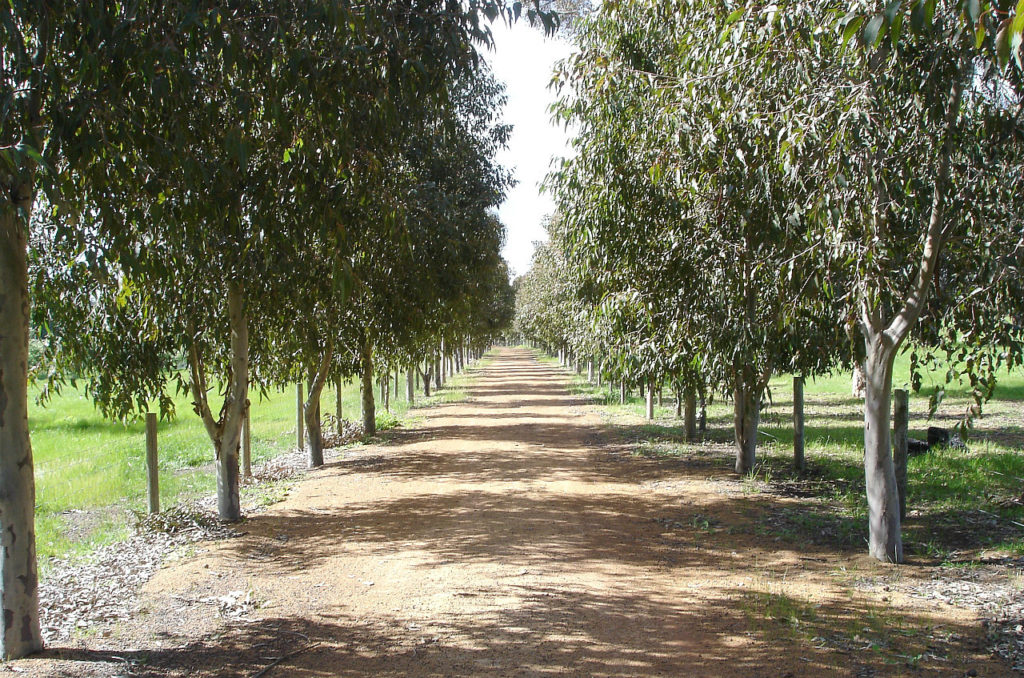 Bakers Hill "Montien Park"