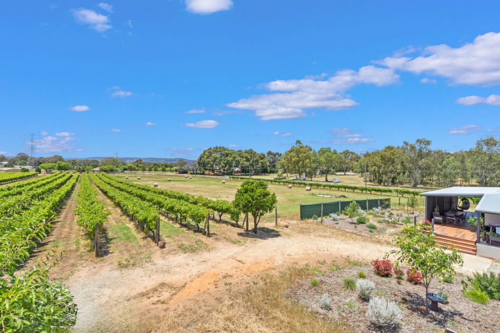 25 Hamersley Rd Caversham Garland International