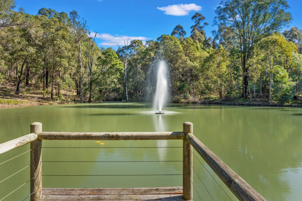Lake Vista