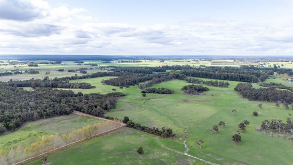 Warner Glen  Garland International