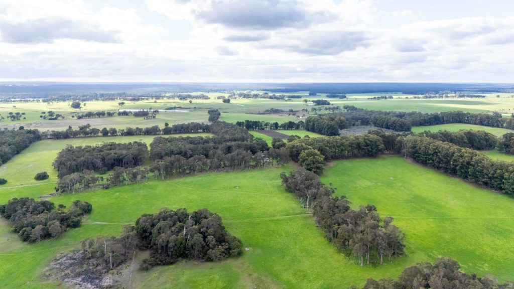 Warner Glen  Garland International
