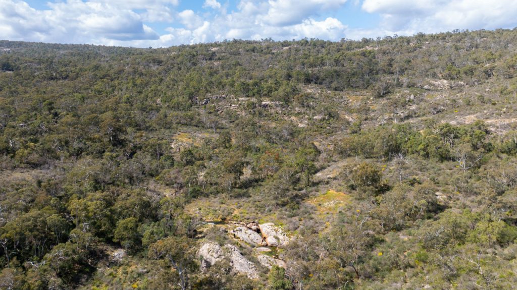 North Dandalup  Garland International