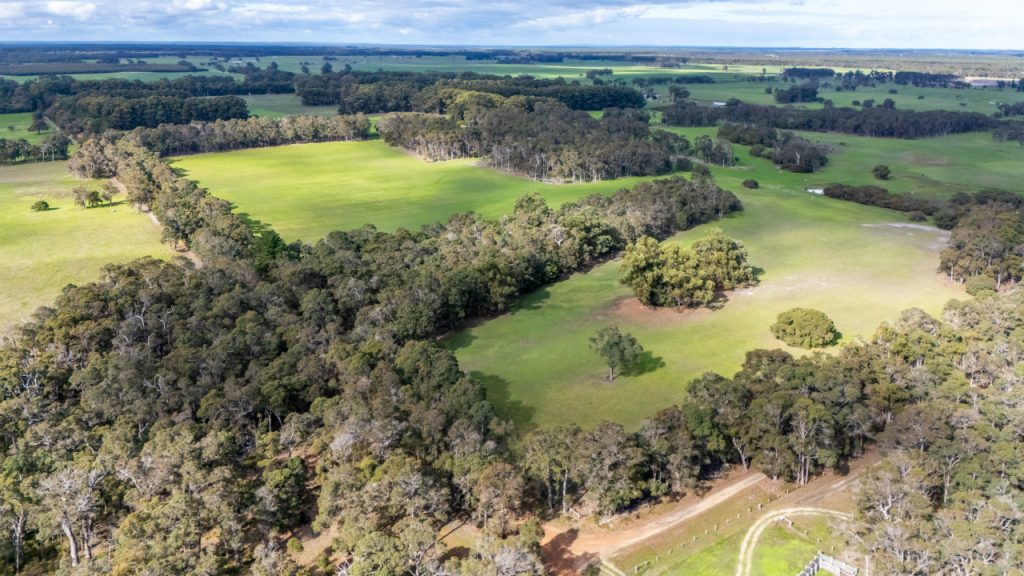 Warner Glen  Garland International