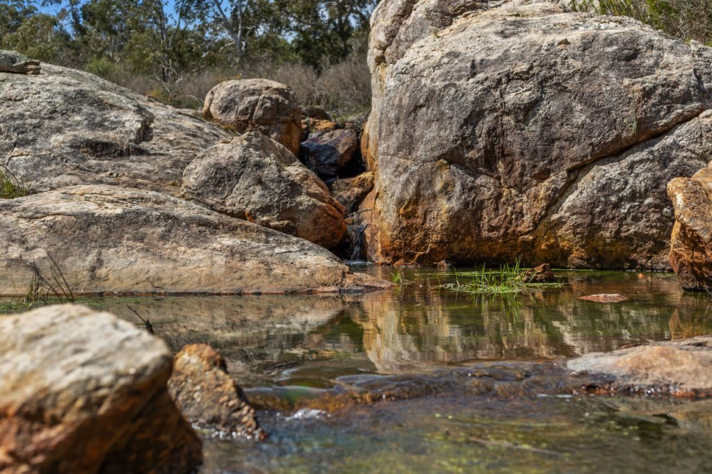 North Dandalup  Garland International