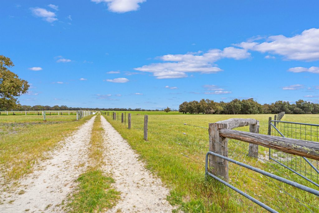 Birchmont - Garland International