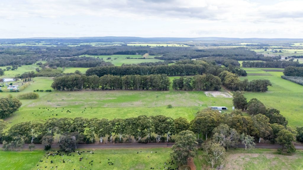 Warner Glen  Garland International