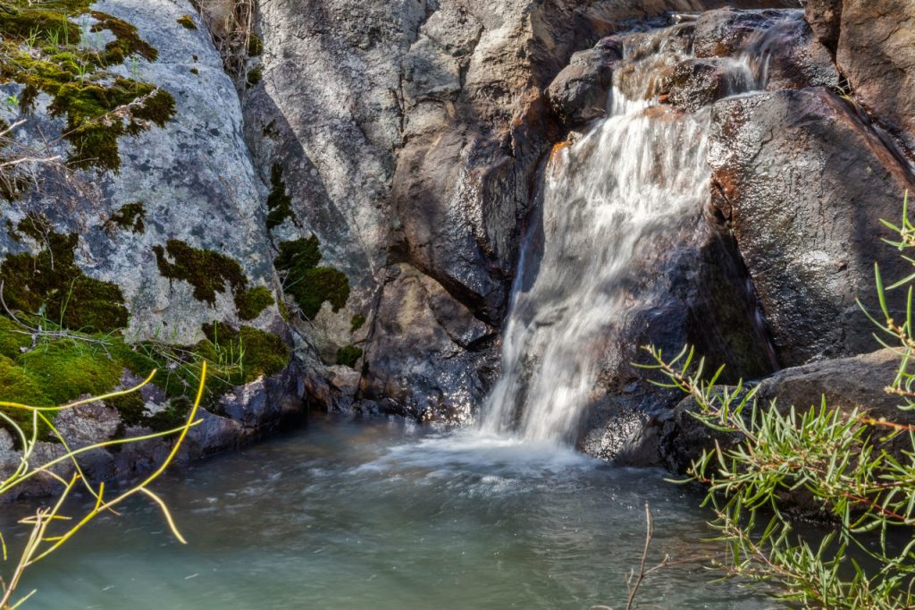 North Dandalup  Garland International