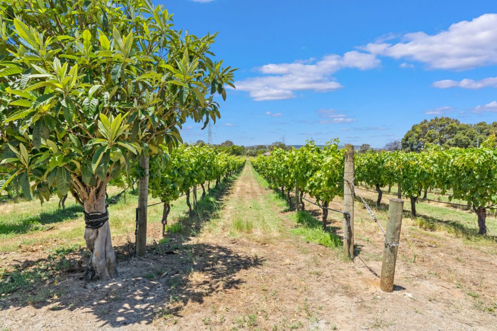 25 Hamersley Rd Caversham Garland International