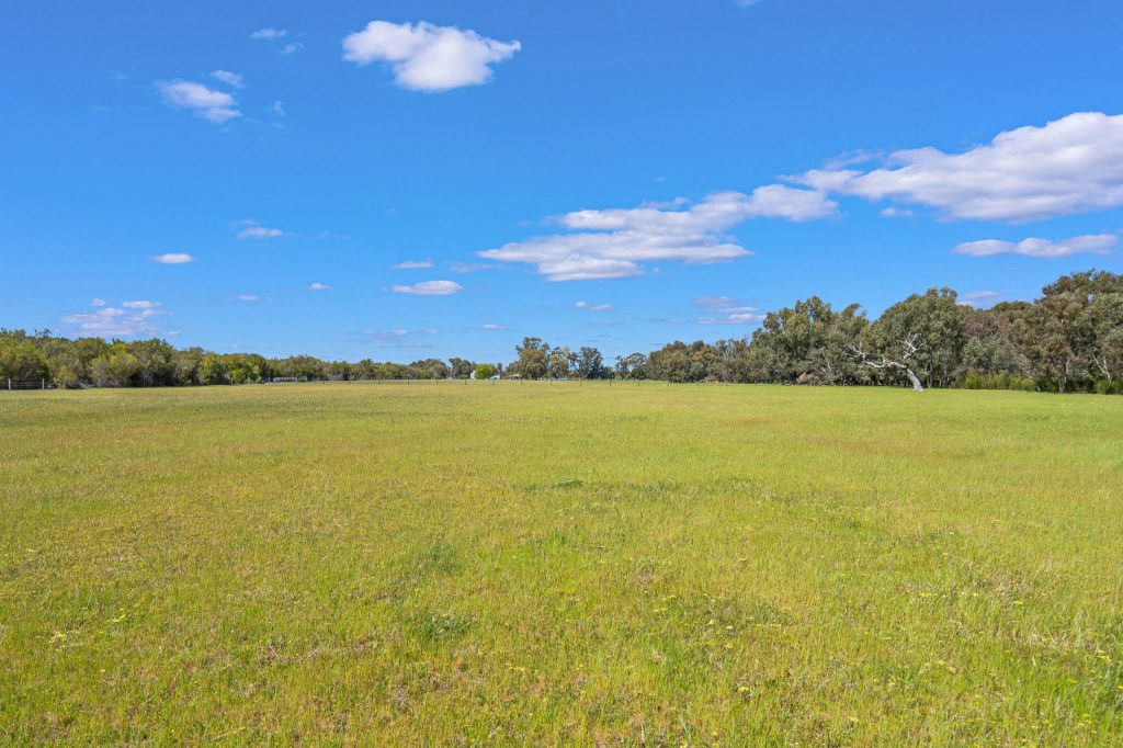 Birchmont - Garland International