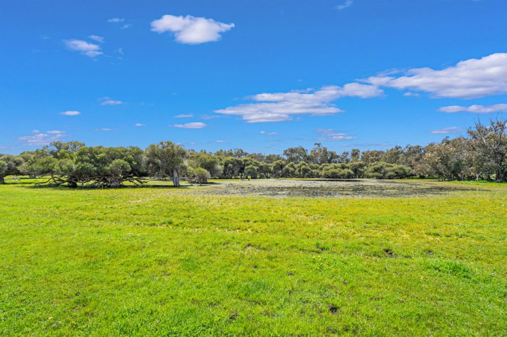 Birchmont - Garland International