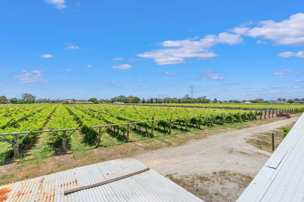 25 Hamersley Rd Caversham Garland International