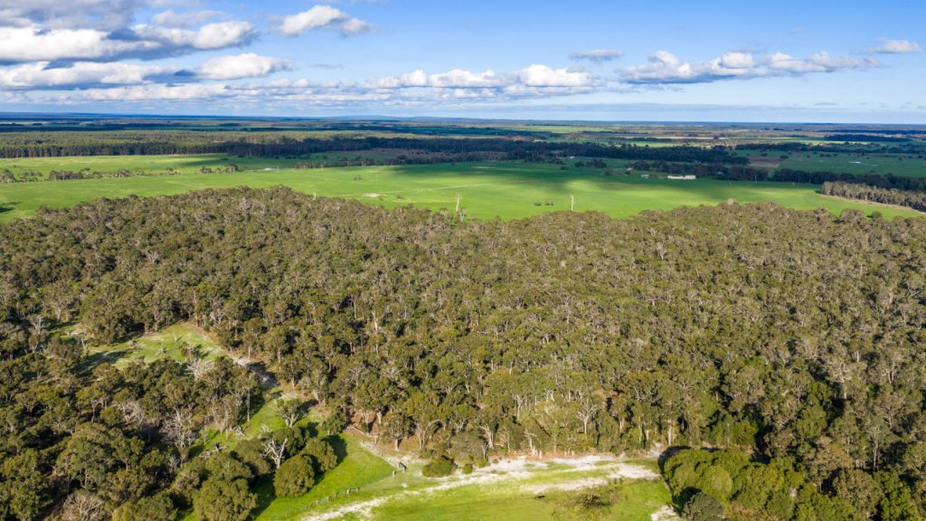 Courtenay via Margaret River Augusta Garland International