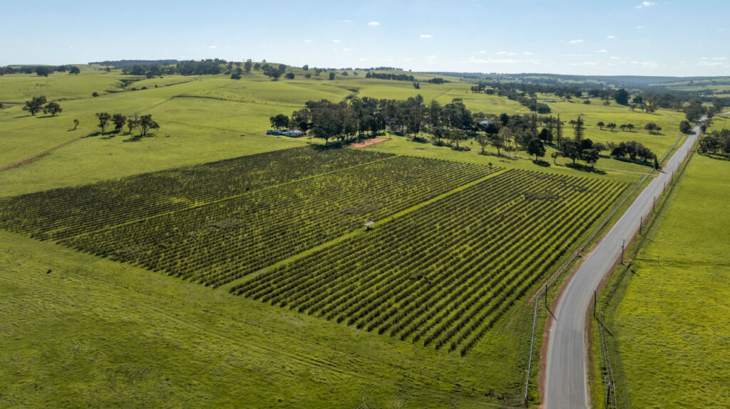 Cheriton Estate Gingin Garland International