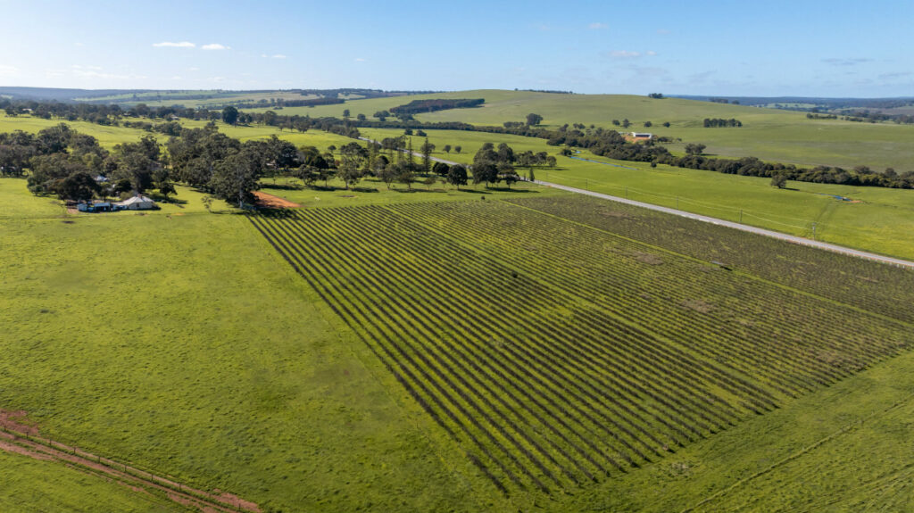 Cheriton Estate Gingin Garland International