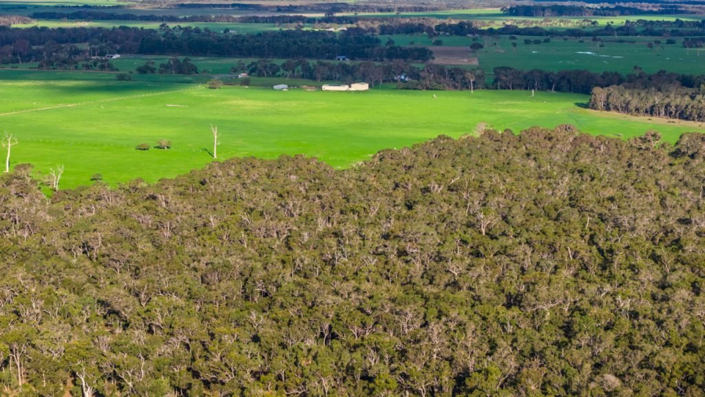 Courtenay via Margaret River Augusta Garland International